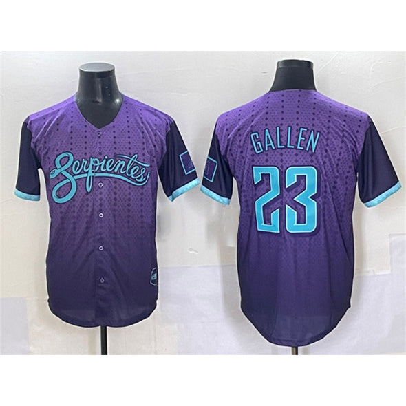 Rebec Arizona Diamondbacks #23 Zac Gallen Purple  2025 City Connect Limited Stitched Jersey