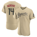 Rebec A.Diamondbacks #14 Gabriel Moreno Player Gold City Connect Stitched Jerseys