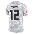 Rebec A.Falcons #12 Avieon Terrell Player Arctic Camo Salute to Service Limited Stitched Jerseys