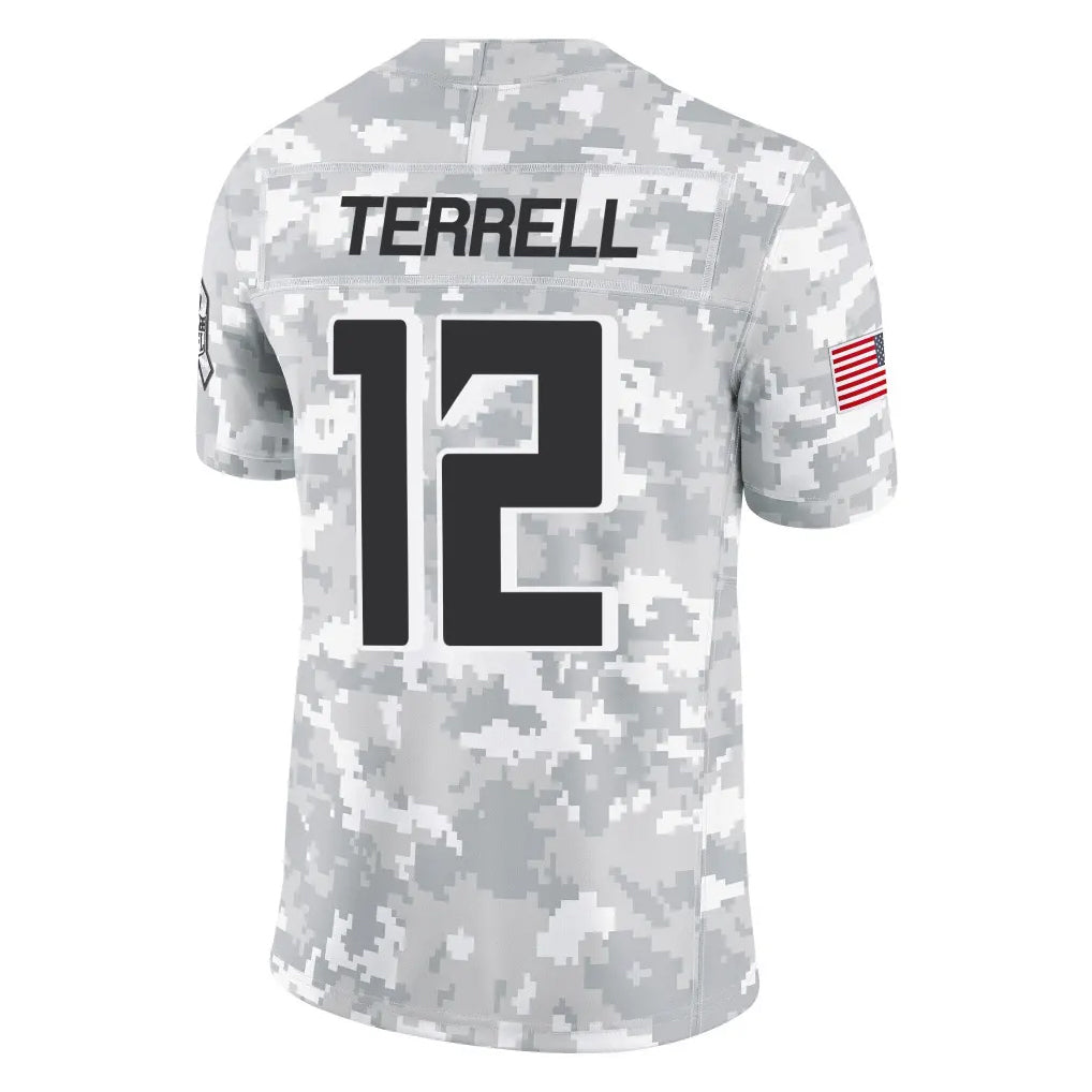 Rebec A.Falcons #12 Avieon Terrell Player Arctic Camo Salute to Service Limited Stitched Jerseys