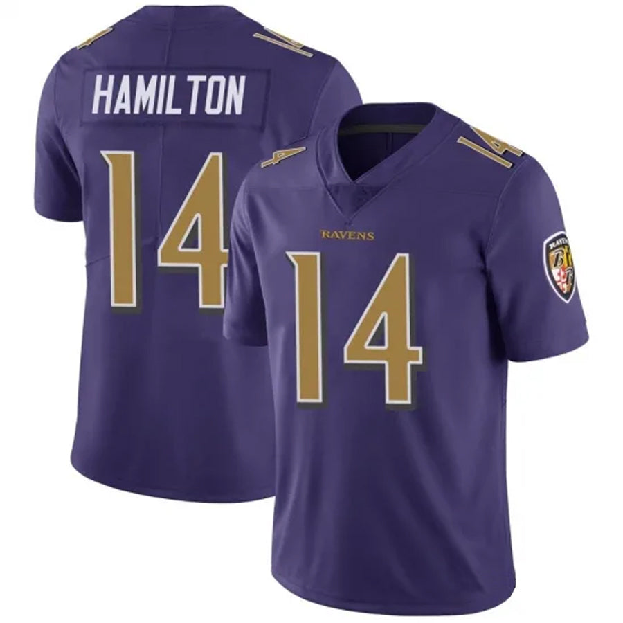 Rebec B.Ravens #14 Kyle Hamilton Player Purple Color Rush Vapor Untouchable Limited Game Stitched Jerseys