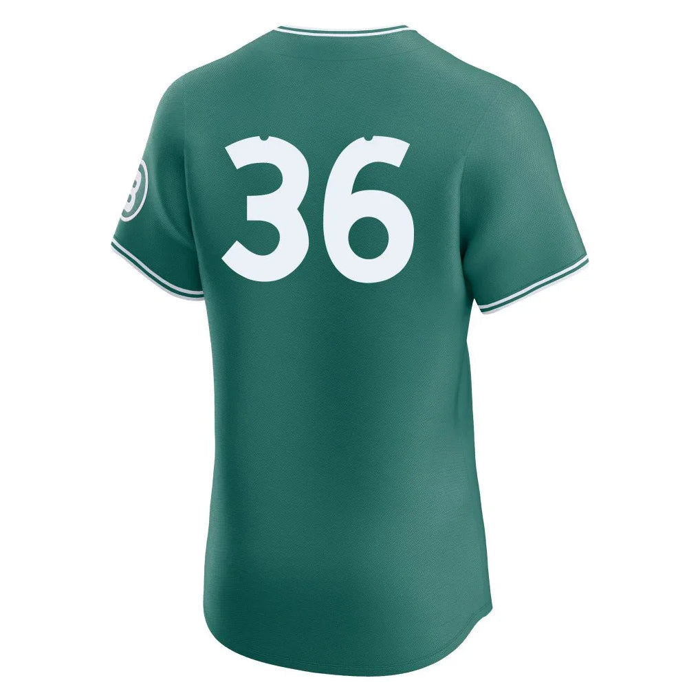 Rebec B.Red Sox #36 Triston Casas Player Green City Connect Limited Elite Home Game Stitched Jerseys