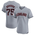 Rebec C.Guardians #75 Connor Brogdon Player Gray Road Limited Elite Home Stitched Jerseys