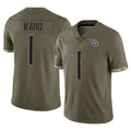 Rebec T.Titans #1 Cam Ward Player Olive Limited Salute to Service Home Game Stitched Jerseys